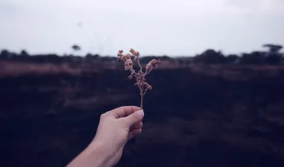 Top 50 citations inspirantes sur la vie pour éclairer votre chemin