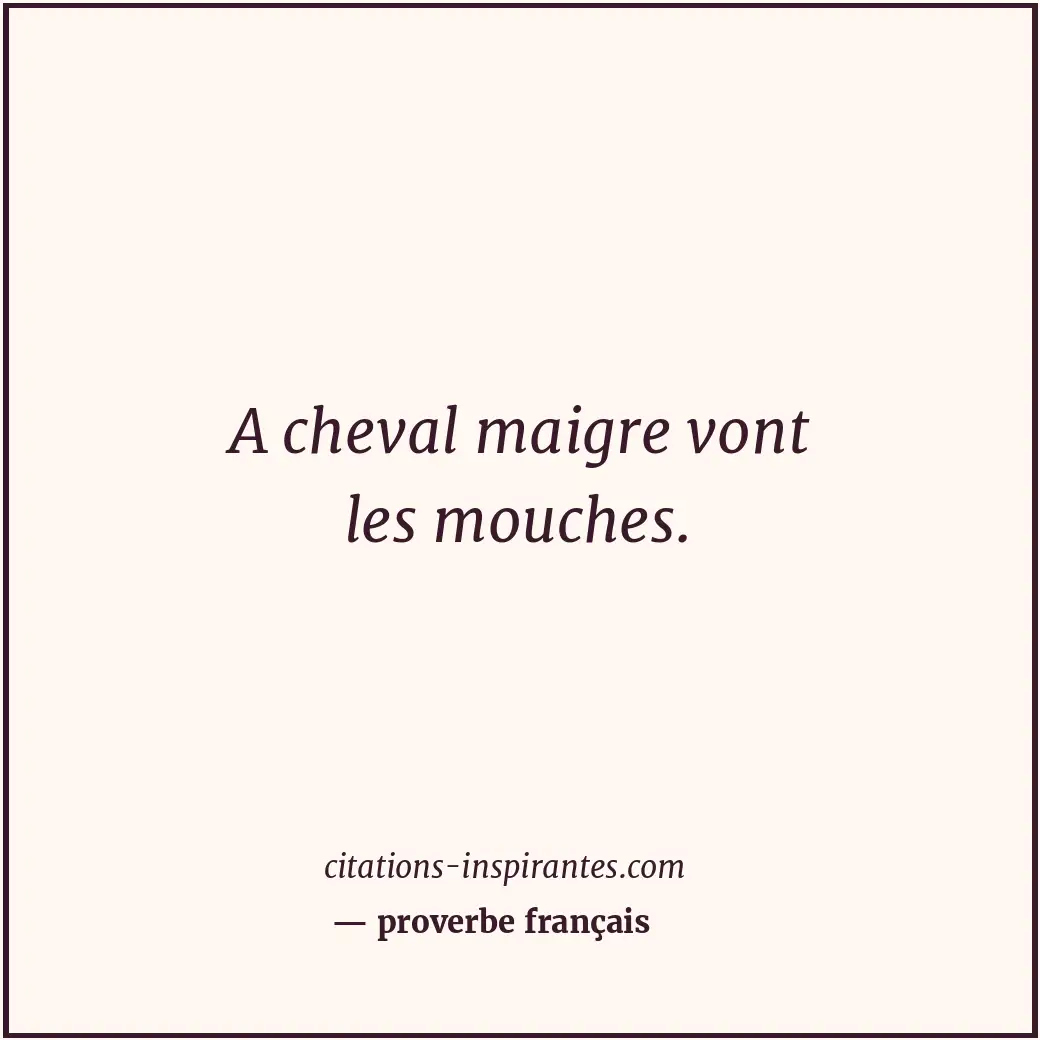A cheval maigre vont les mouches. Citation de proverbe français