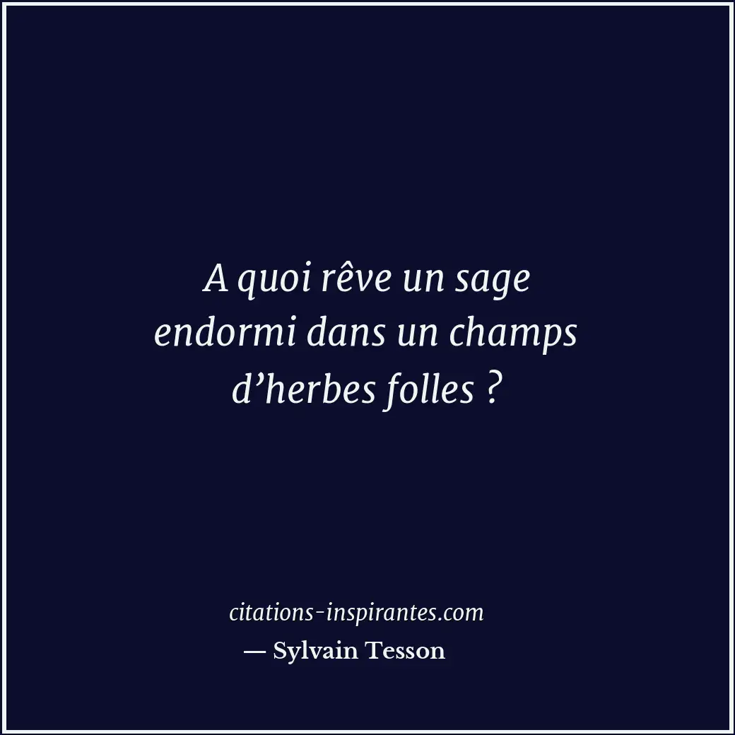 A quoi rêve un sage endormi dans un champs d’herbes folles ? Citation de Sylvain Tesson