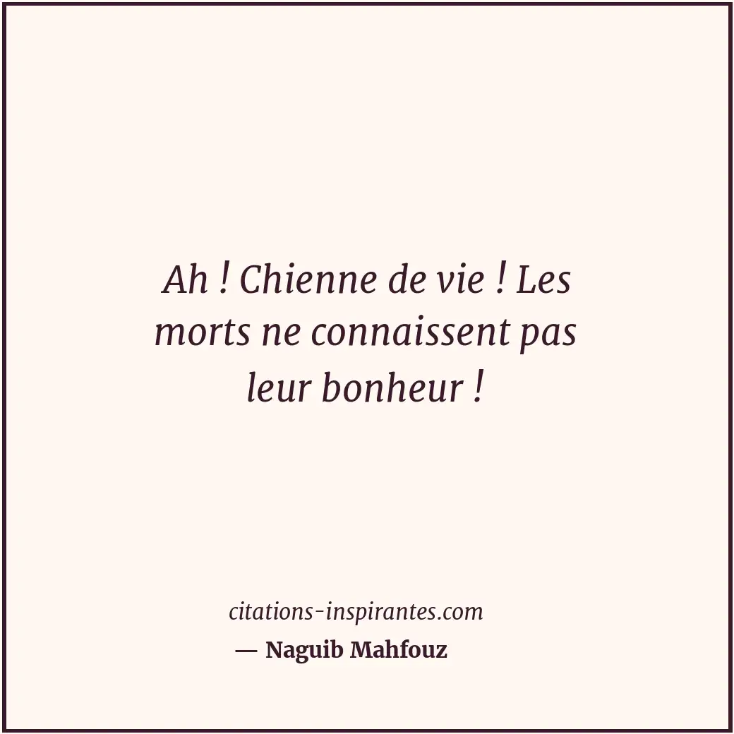 Ah ! Chienne de vie ! Les morts ne connaissent pas leur bonheur ! Citation de Naguib Mahfouz