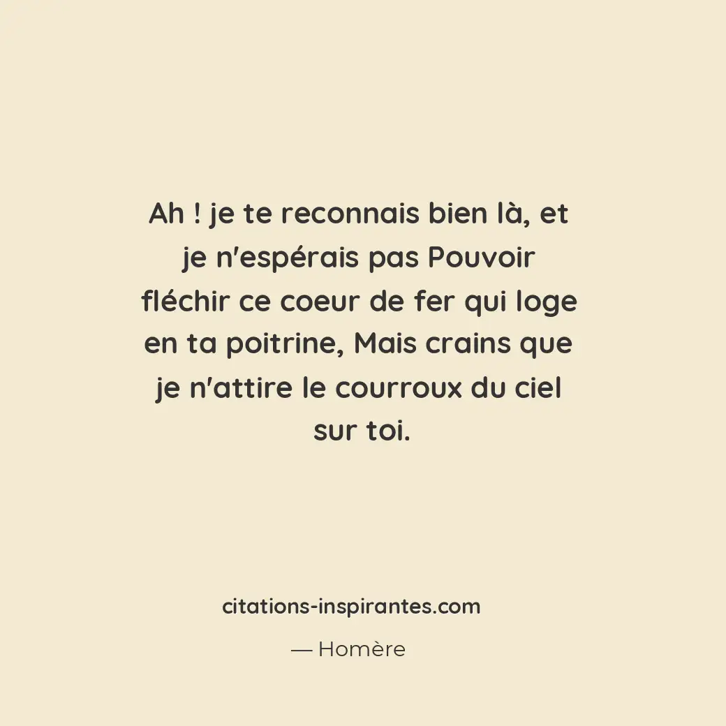 Ah ! Je te reconnais bien là, et je n’espérais pas Pouvoir fléchir ce coeur de f... Citation de Homère