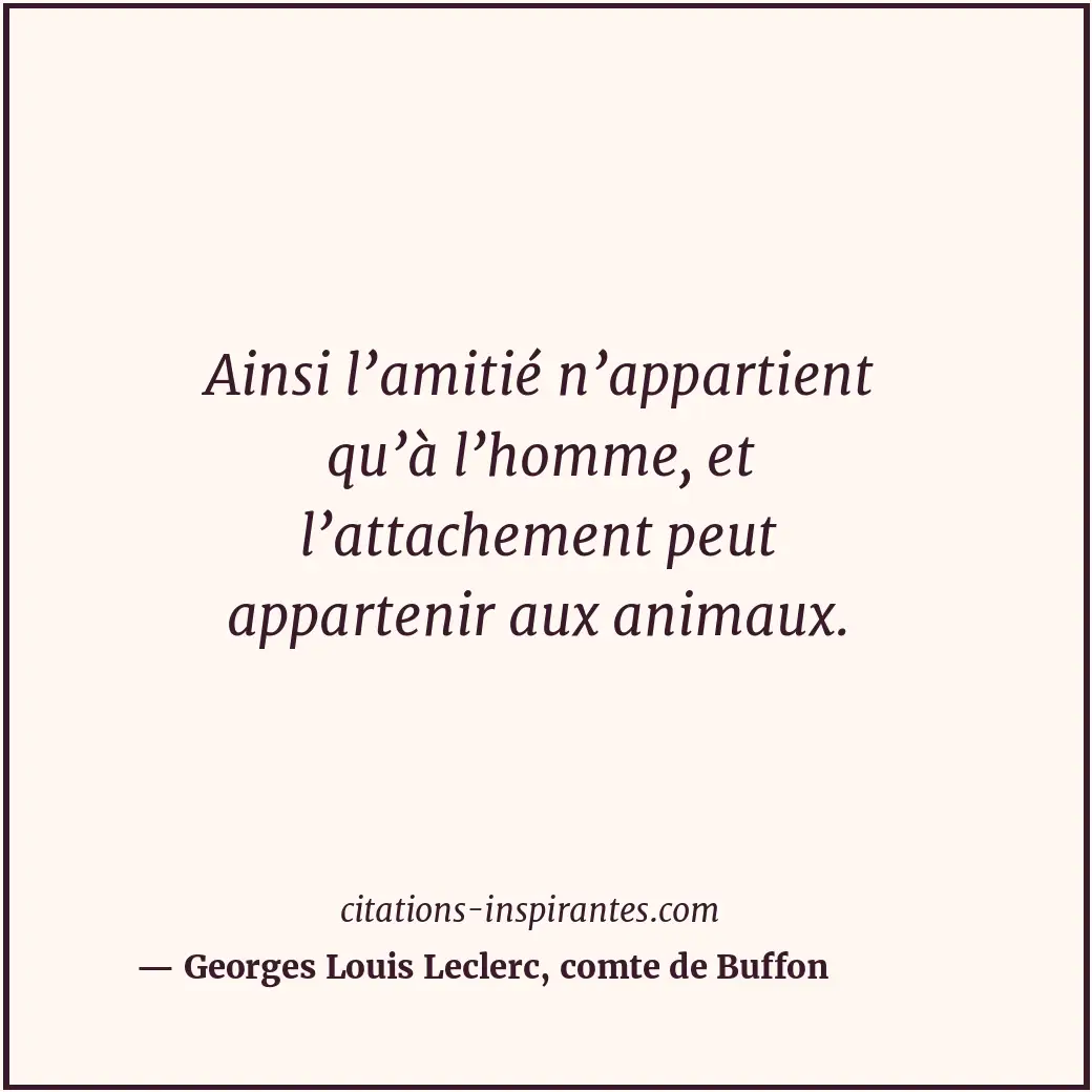 Ainsi l’amitié n’appartient qu’à l’homme, et l’attachement peut appartenir aux a... Citation de Georges Louis Leclerc, comte de Buffon