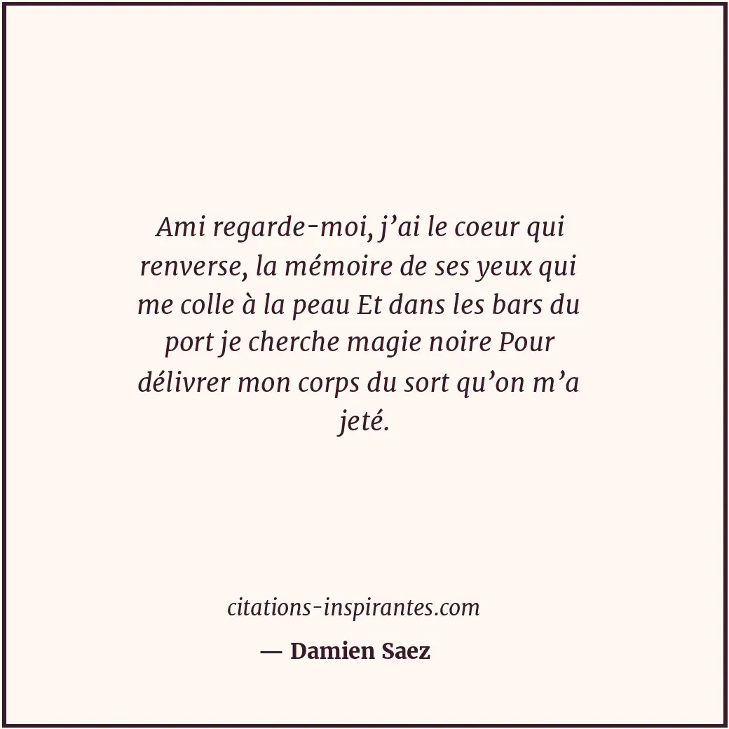 Citation de Damien Saez