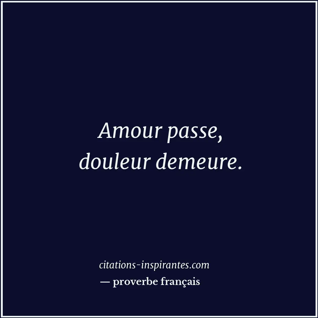 Amour passe, douleur demeure. Citation de proverbe français