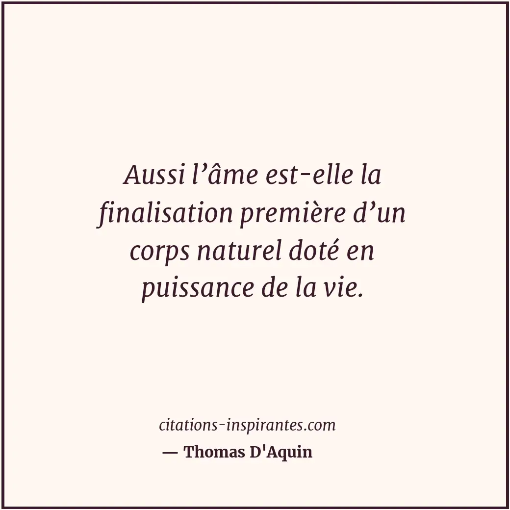 Citation de Thomas D'Aquin