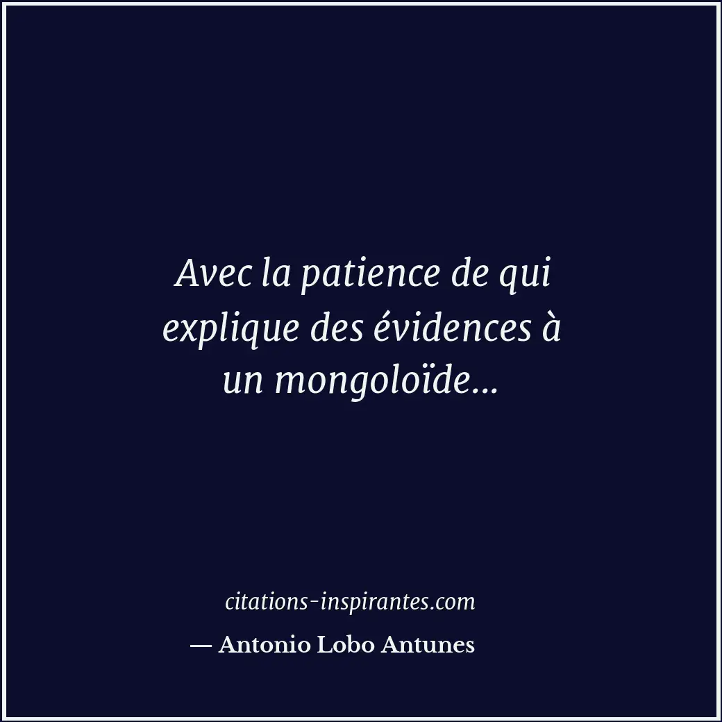 Avec la patience de qui explique des évidences à un mongoloïde... Citation de Antonio Lobo Antunes