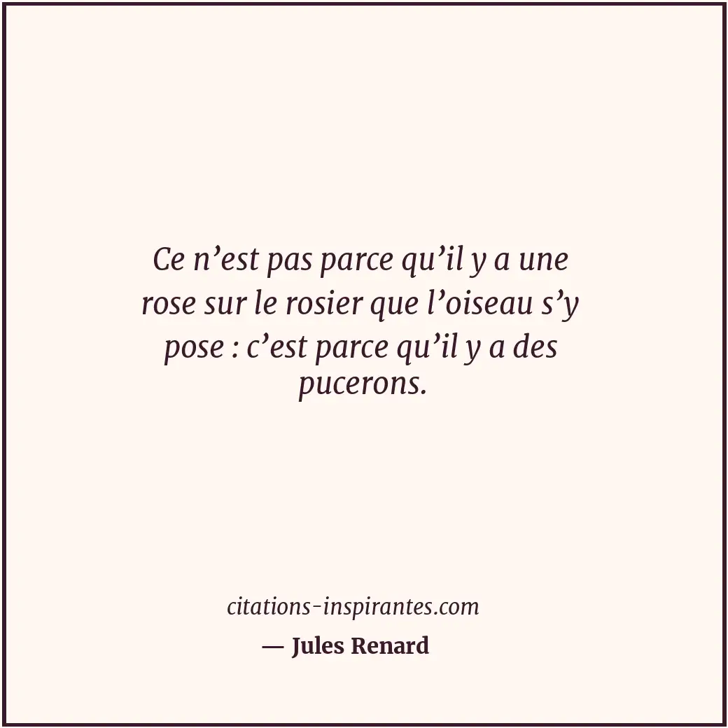 Ce n’est pas parce qu’il y a une rose sur le rosier que l’oiseau s’y pose : c’es... Citation de Jules Renard
