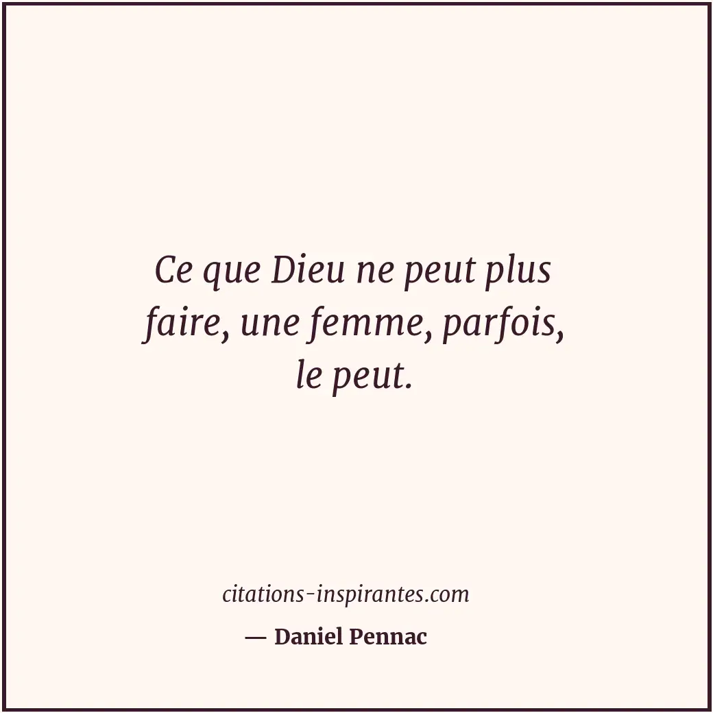 Citation de Daniel Pennac