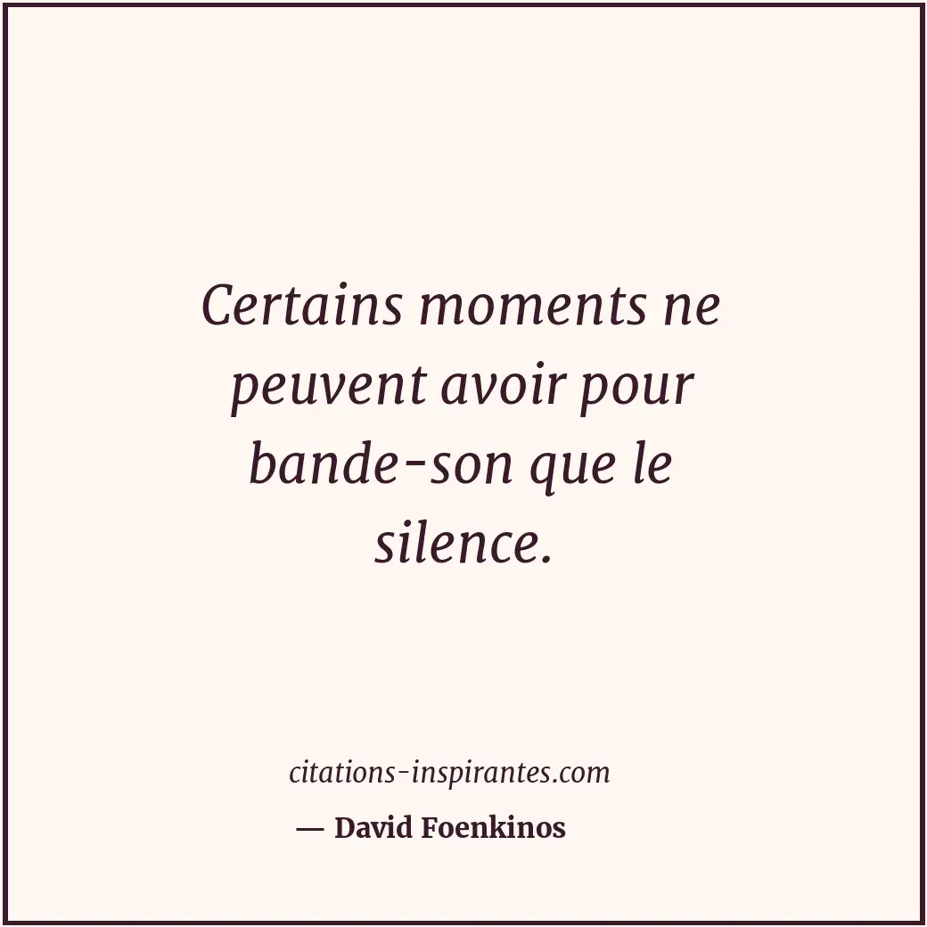 Certains moments ne peuvent avoir pour bande-son que le silence. Citation de David Foenkinos