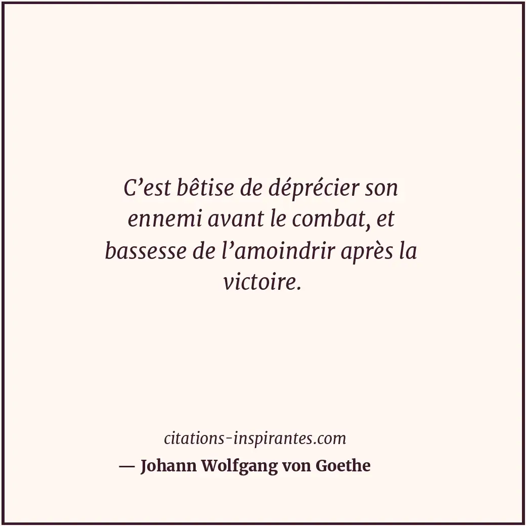 Citation de Johann Wolfgang von Goethe