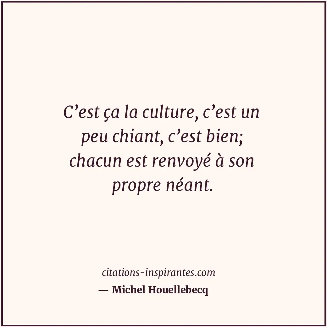 C’est ça la culture, c’est un peu chiant, c’est bien; chacun est renvoyé à son p... Citation de Michel Houellebecq