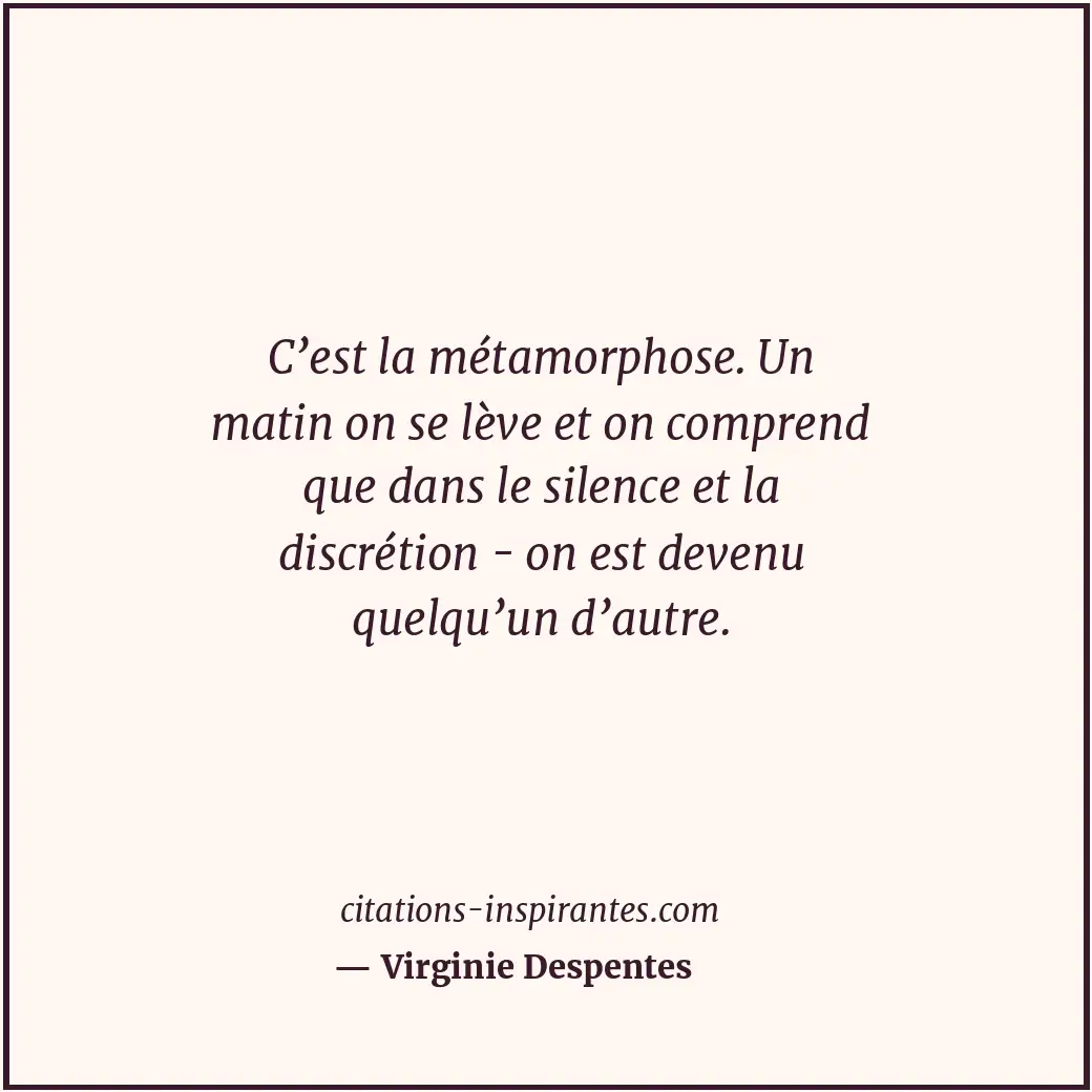 Citation de Virginie Despentes