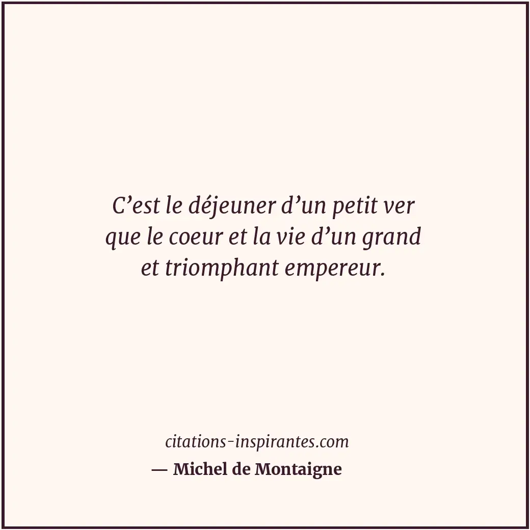 Citation de Michel de Montaigne