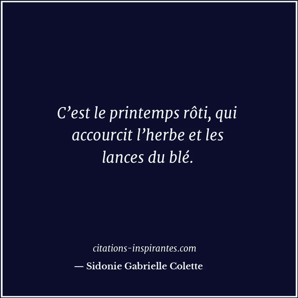C’est le printemps rôti, qui accourcit l’herbe et les lances du blé. Citation de Sidonie Gabrielle Colette