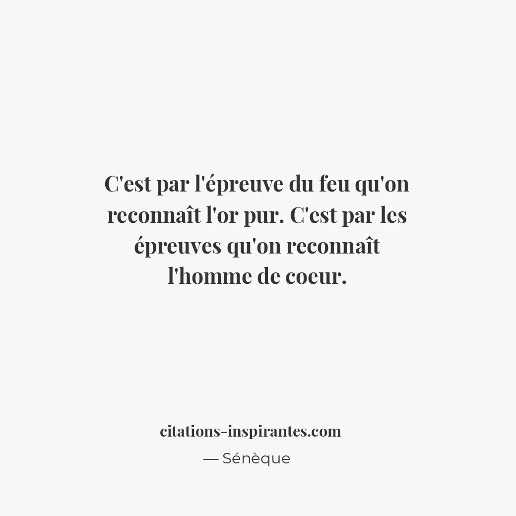 C’est par l’épreuve du feu qu’on reconnaît l’or pur. C’est par les épreuves qu’o... Citation de Sénèque