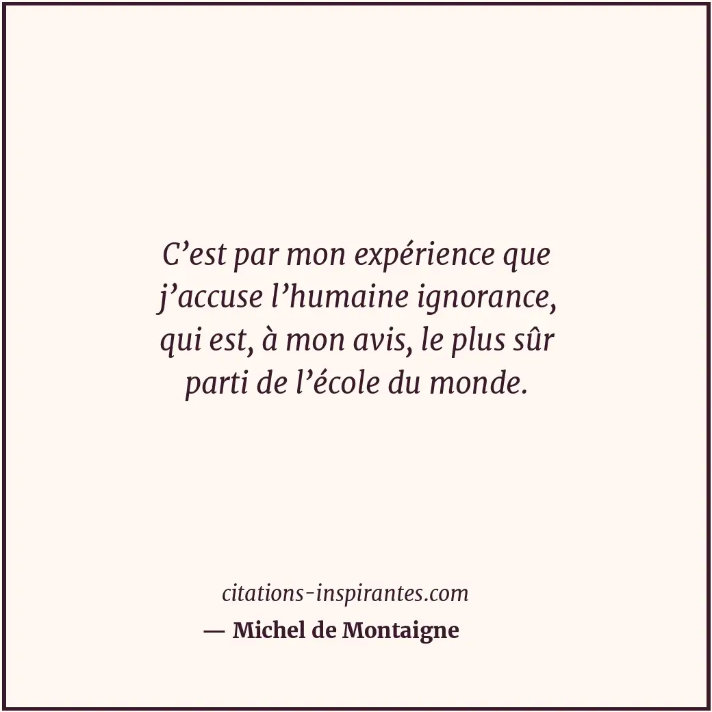 Citation de Michel de Montaigne