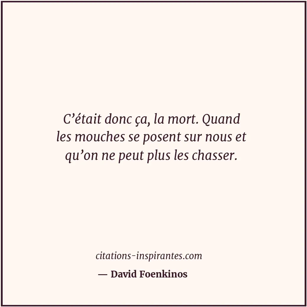 Citation de David Foenkinos