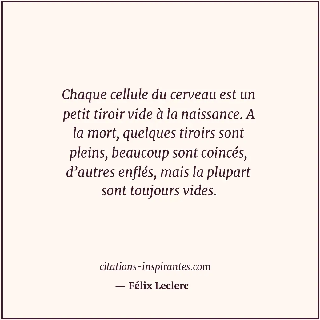 Chaque cellule du cerveau est un petit tiroir vide à la naissance. A la mort, qu... Citation de Félix Leclerc