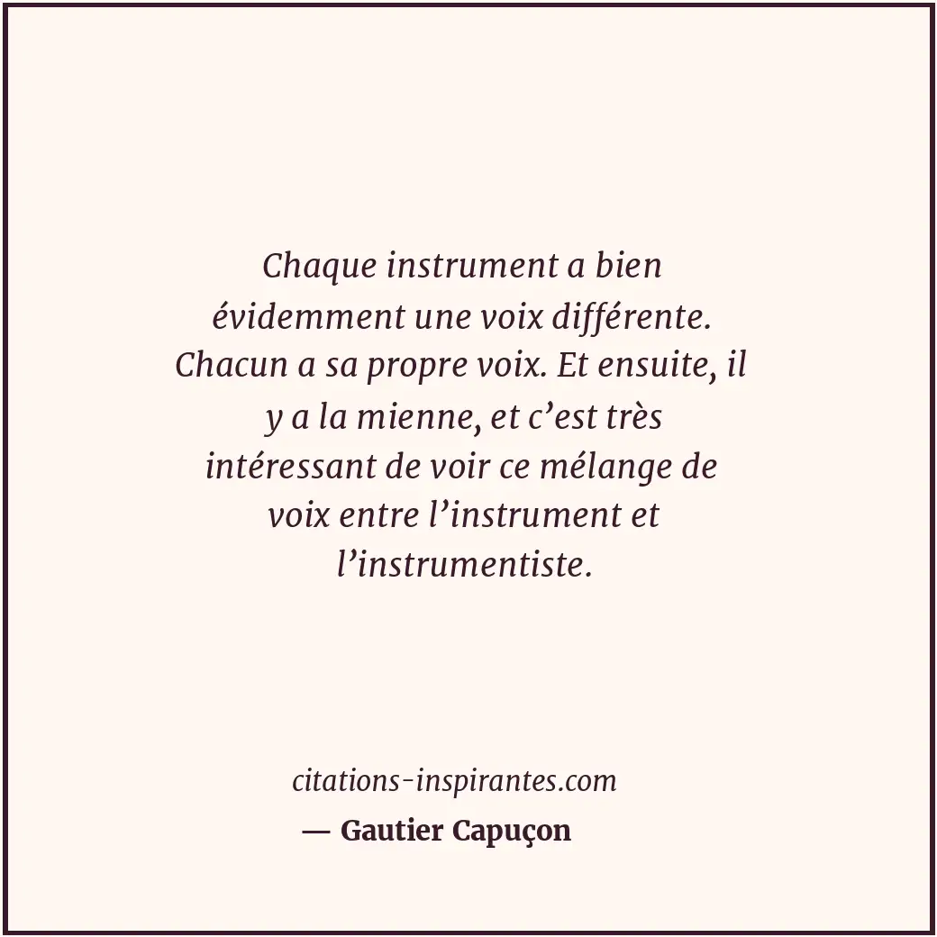 Citation de Gautier Capuçon