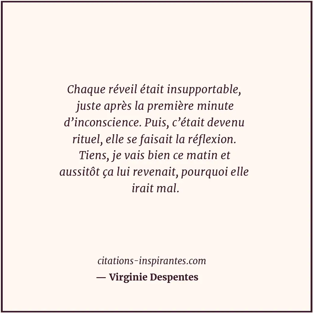 Citation de Virginie Despentes