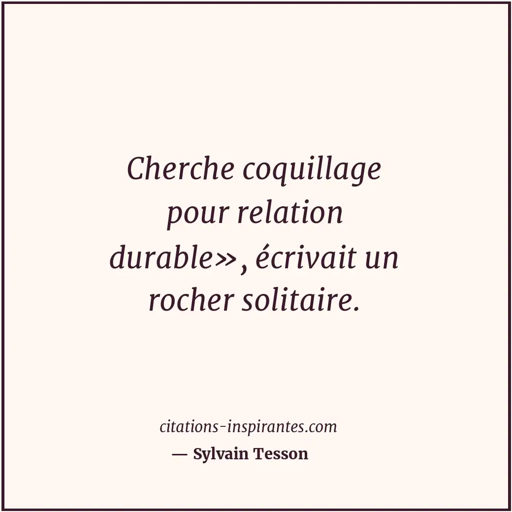Cherche coquillage pour relation durable», écrivait un rocher solitaire. Citation de Sylvain Tesson