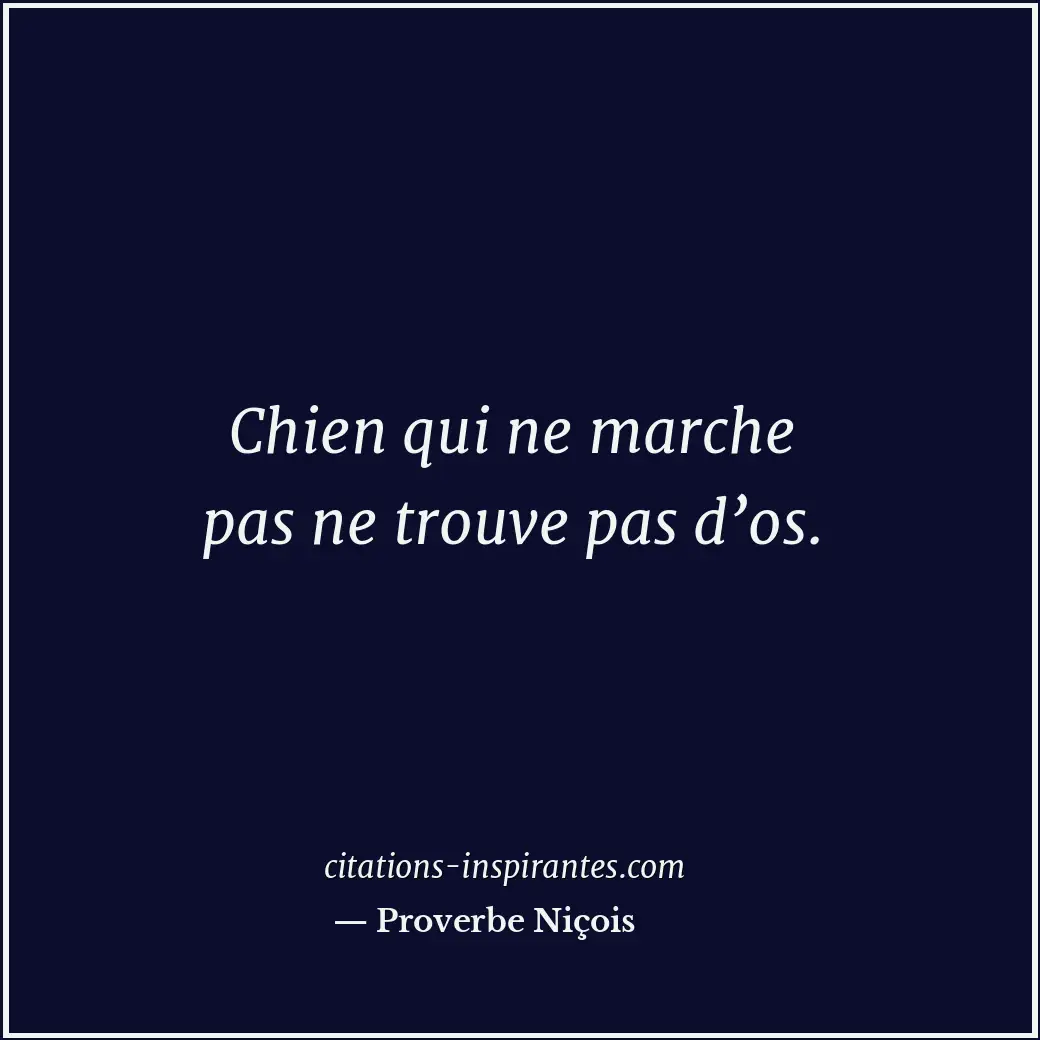 Chien qui ne marche pas ne trouve pas d’os. Citation de Proverbe Niçois