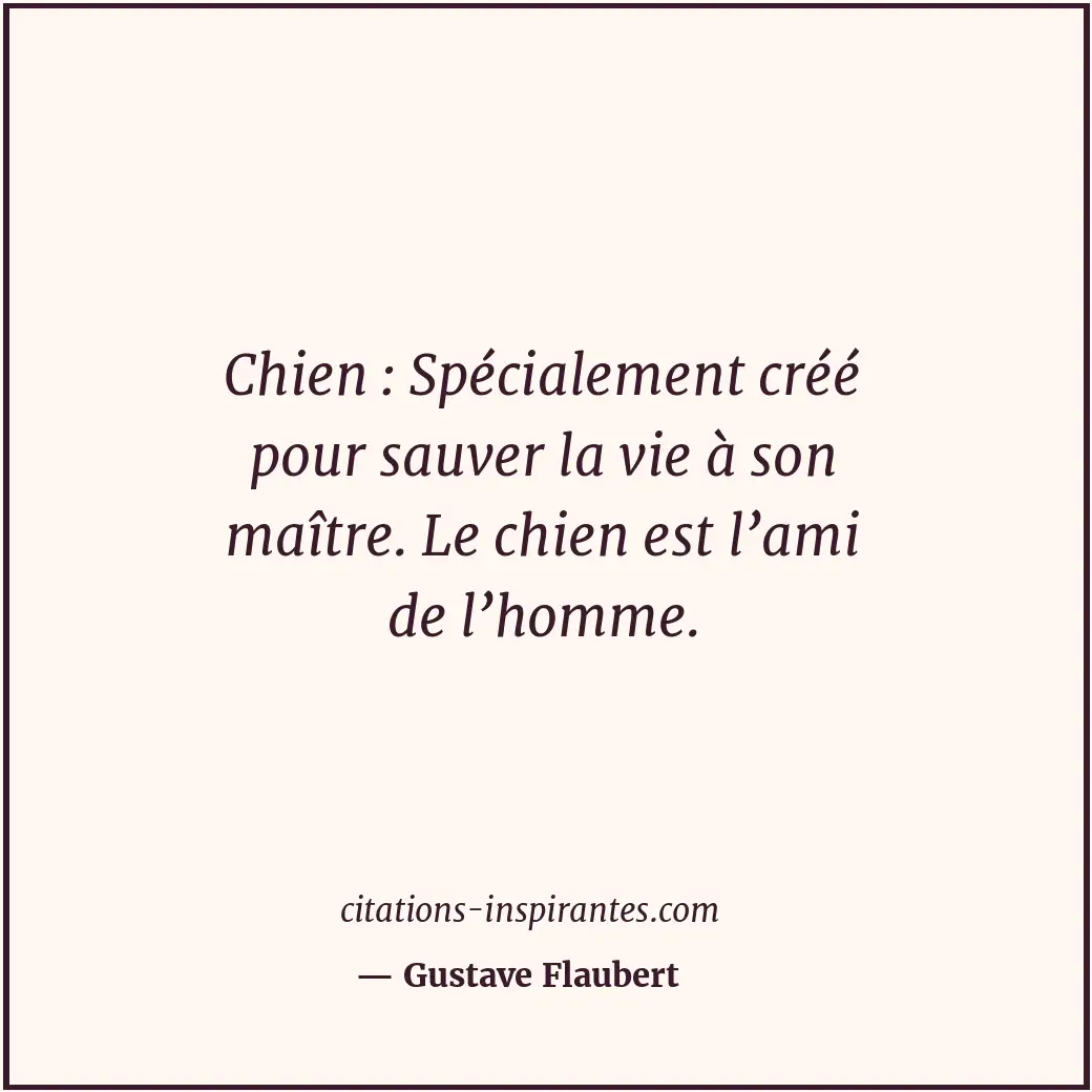 Citation de Gustave Flaubert