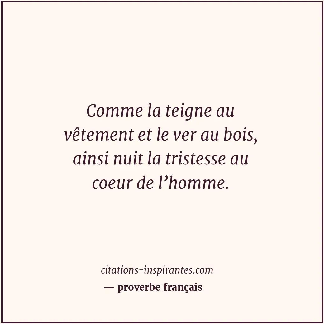Comme la teigne au vêtement et le ver au bois, ainsi nuit la tristesse au coeur... Citation de proverbe français