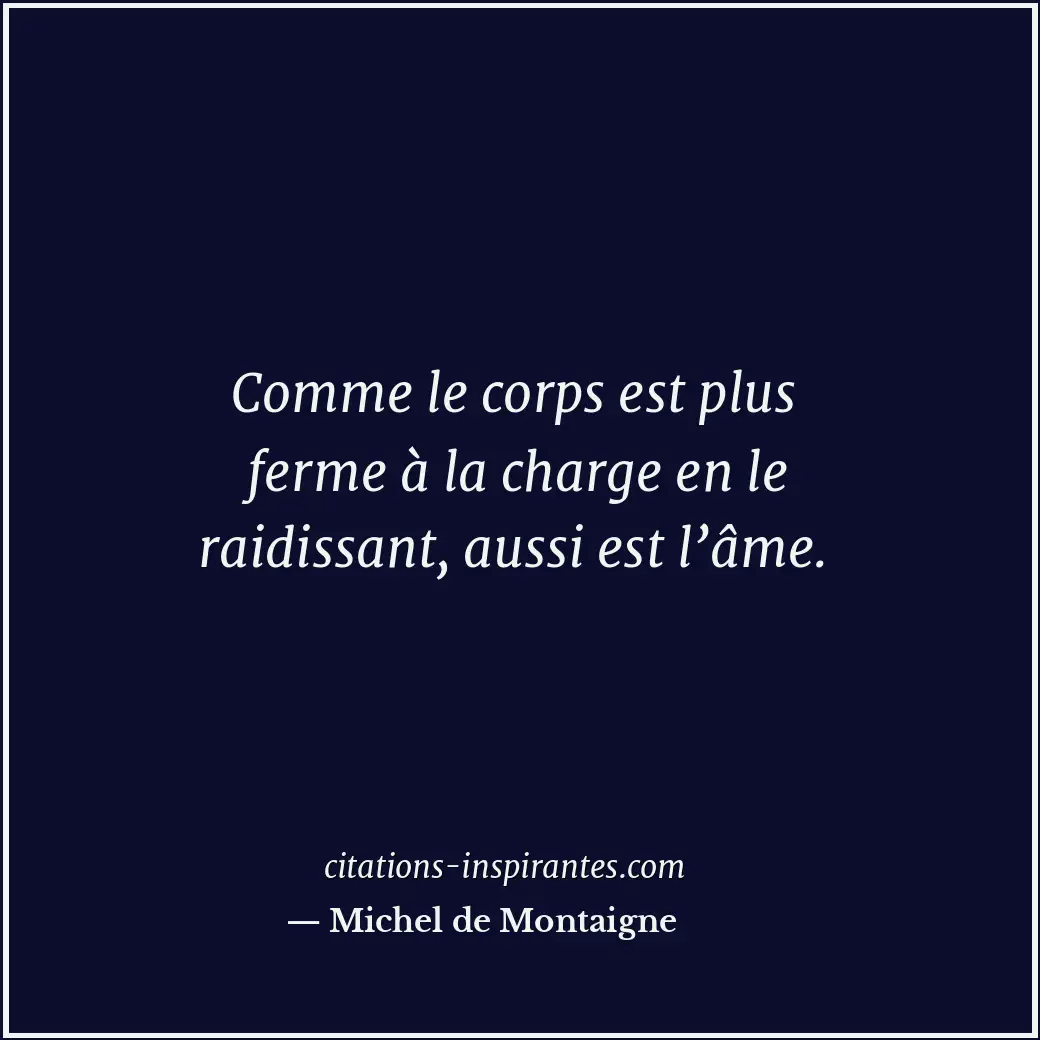 Citation de Michel de Montaigne