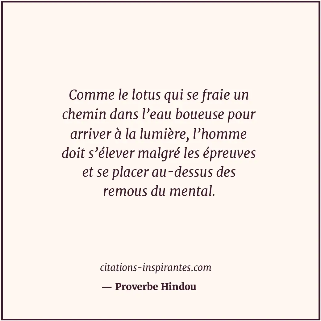 Comme le lotus qui se fraie un chemin dans l’eau boueuse pour arriver à la lumiè... Citation de Proverbe Hindou