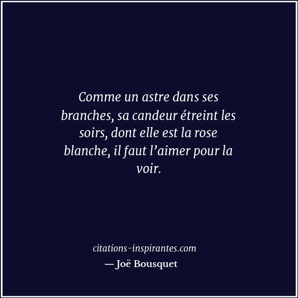 Citation de Joë Bousquet