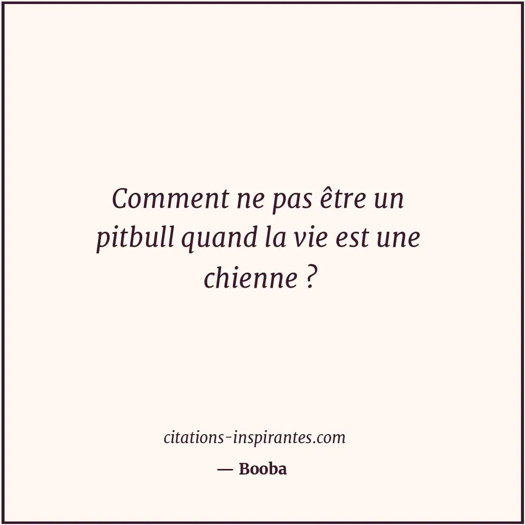 Citation de Booba