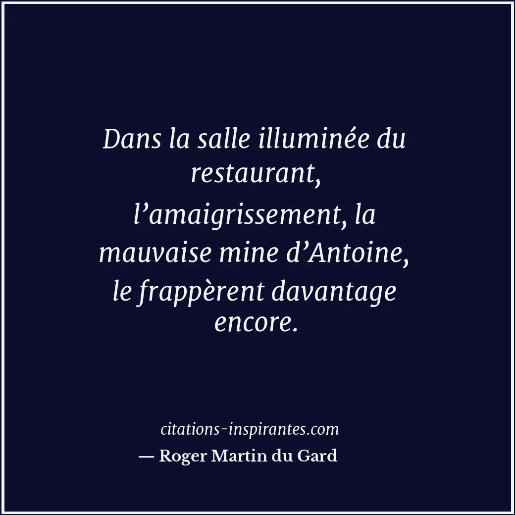 Citation de Roger Martin du Gard