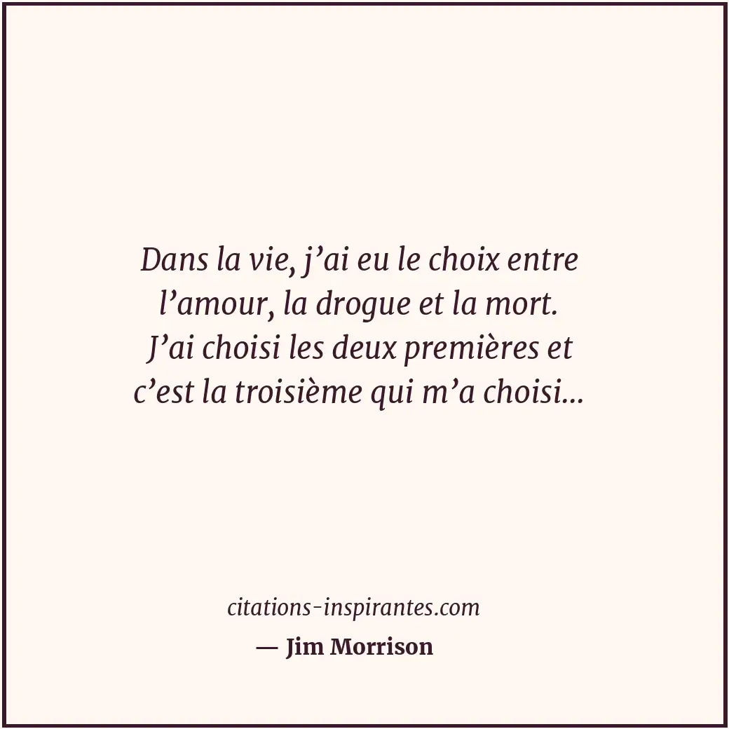 Dans la vie, j’ai eu le choix entre l’amour, la drogue et la mort. J’ai choisi l... Citation de Jim Morrison