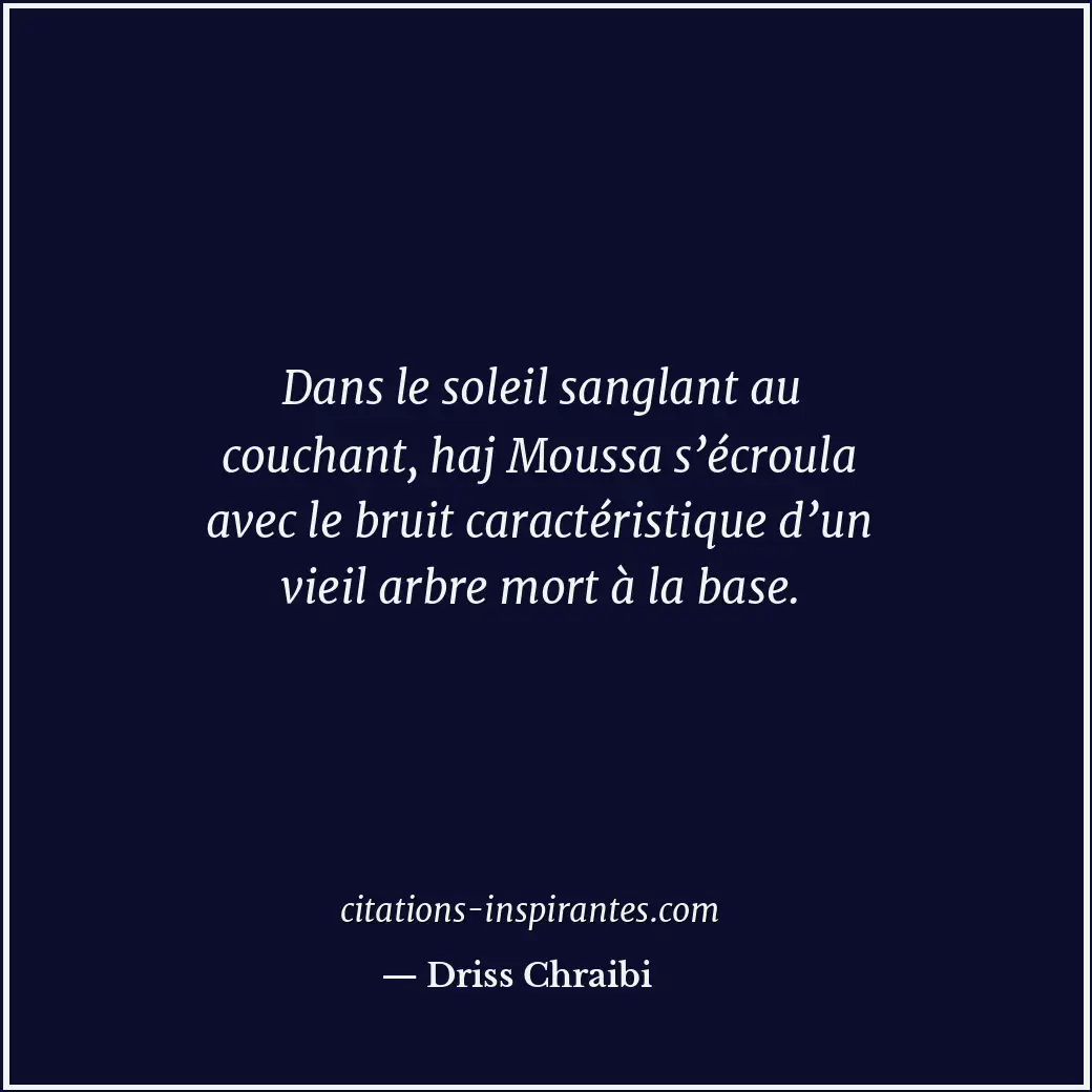 Dans le soleil sanglant au couchant, haj Moussa s’écroula avec le bruit caractér... Citation de Driss Chraibi