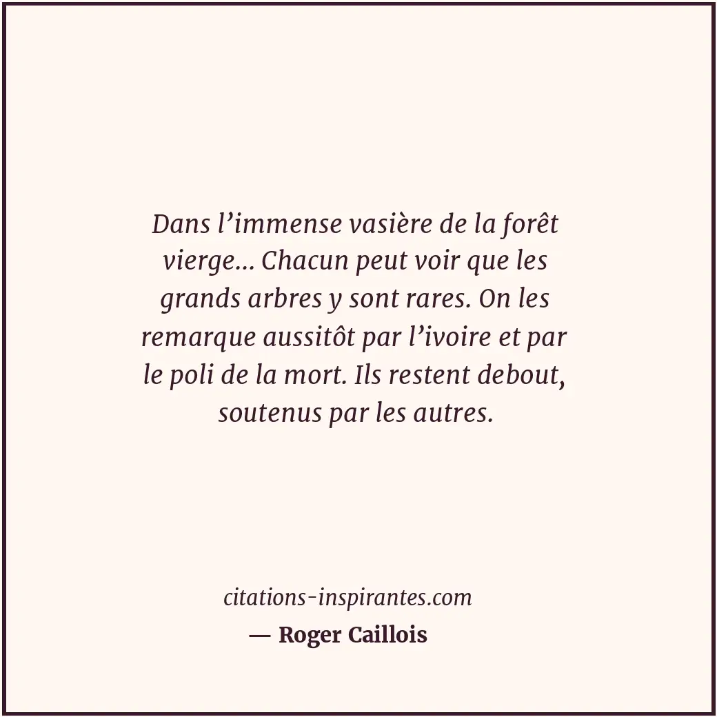 Citation de Roger Caillois