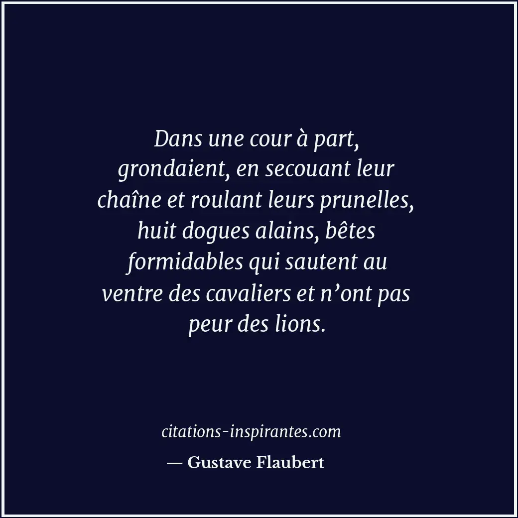 Dans une cour à part, grondaient, en secouant leur chaîne et roulant leurs prune... Citation de Gustave Flaubert