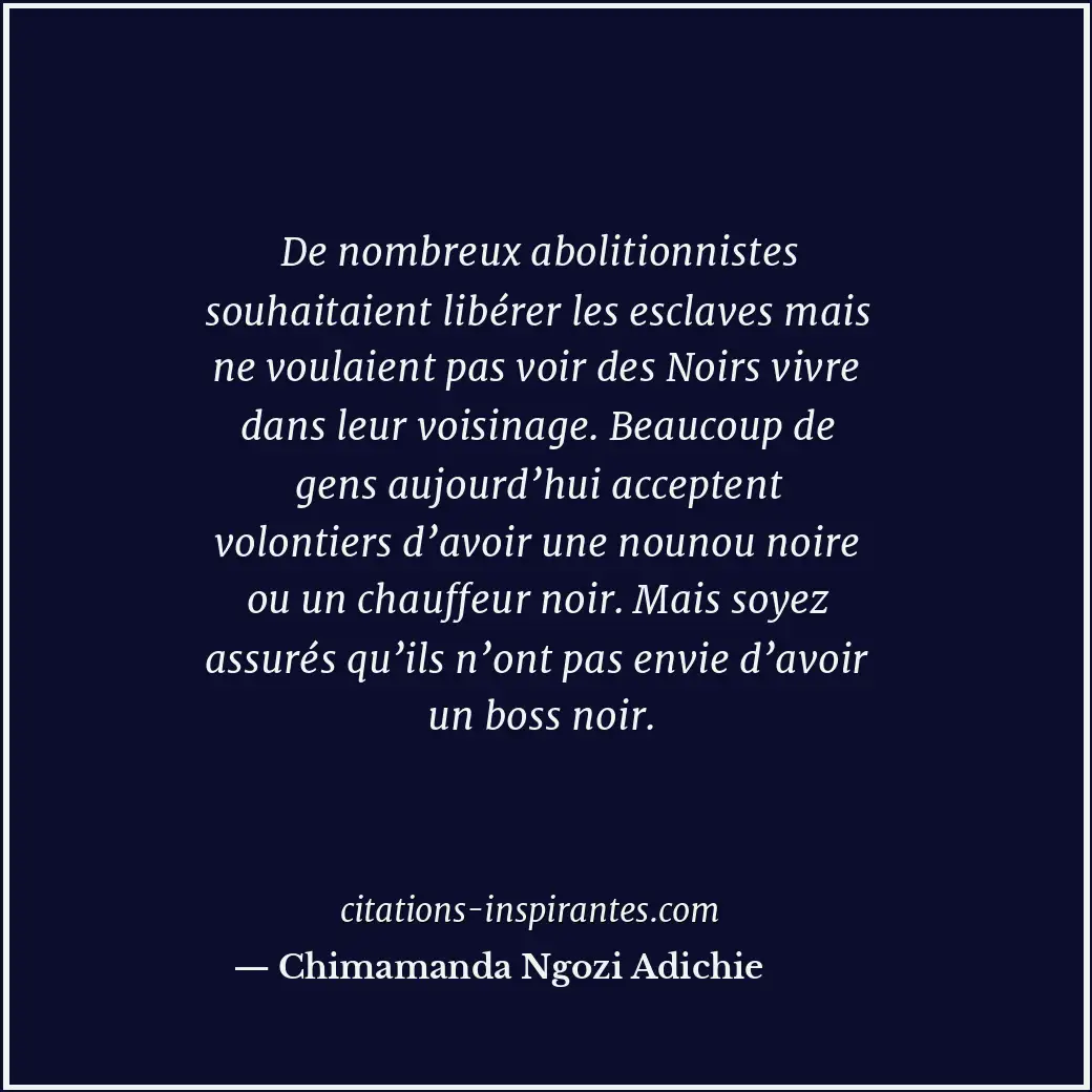 De nombreux abolitionnistes souhaitaient libérer les esclaves mais ne voulaient... Citation de Chimamanda Ngozi Adichie