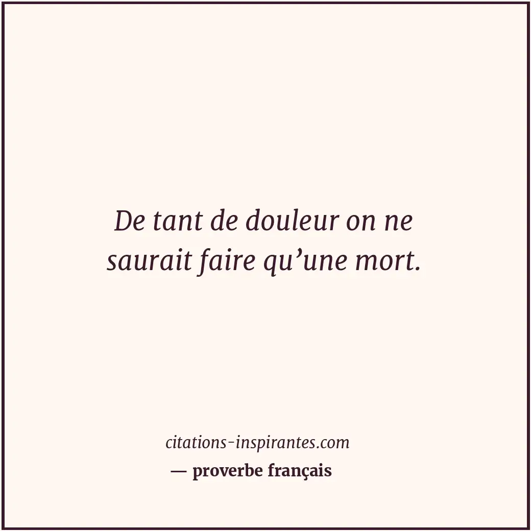De tant de douleur on ne saurait faire qu’une mort. Citation de proverbe français