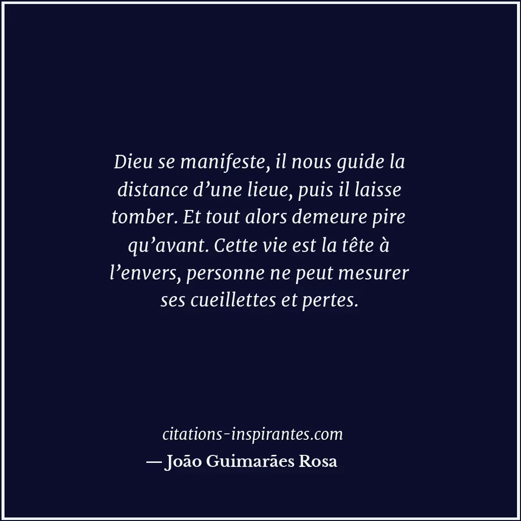 Citation de João Guimarães Rosa
