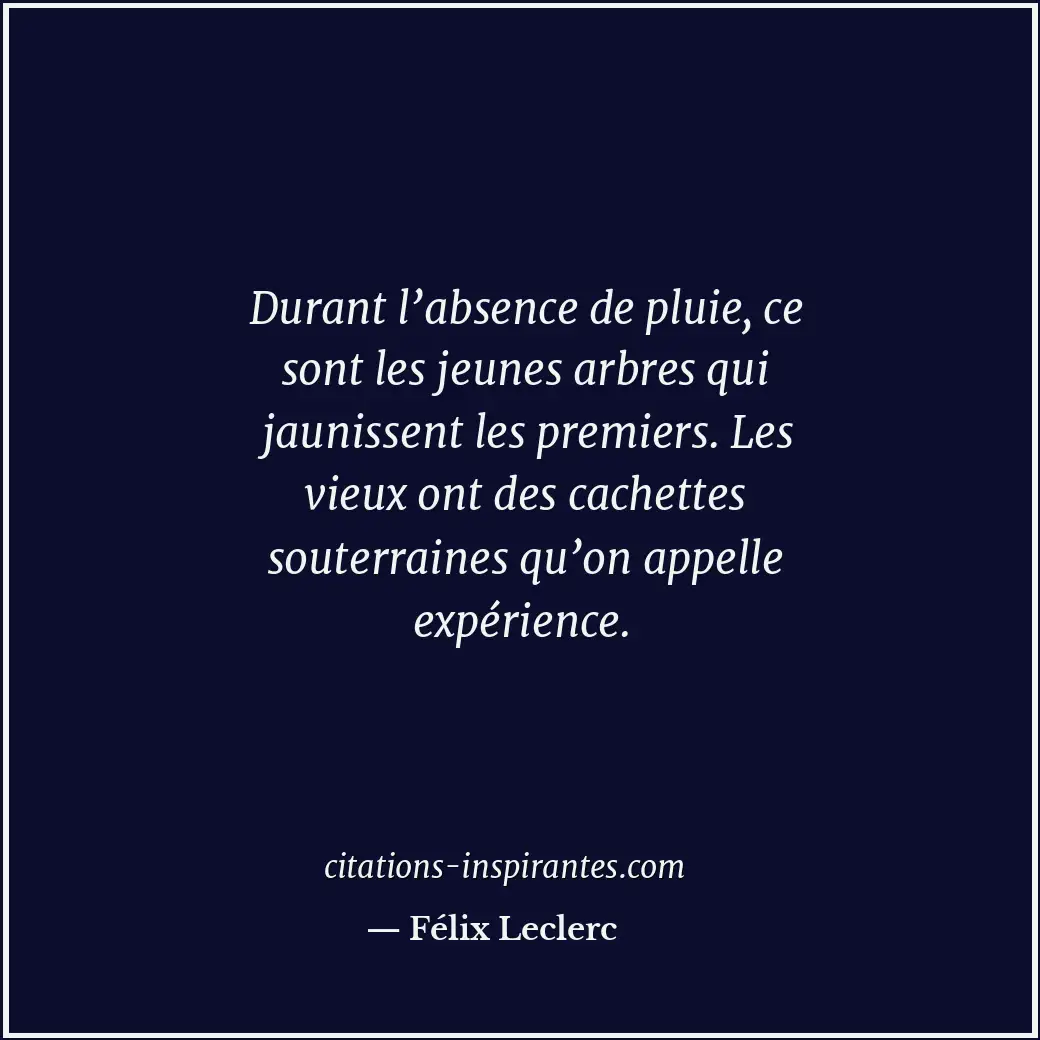 Citation de Félix Leclerc