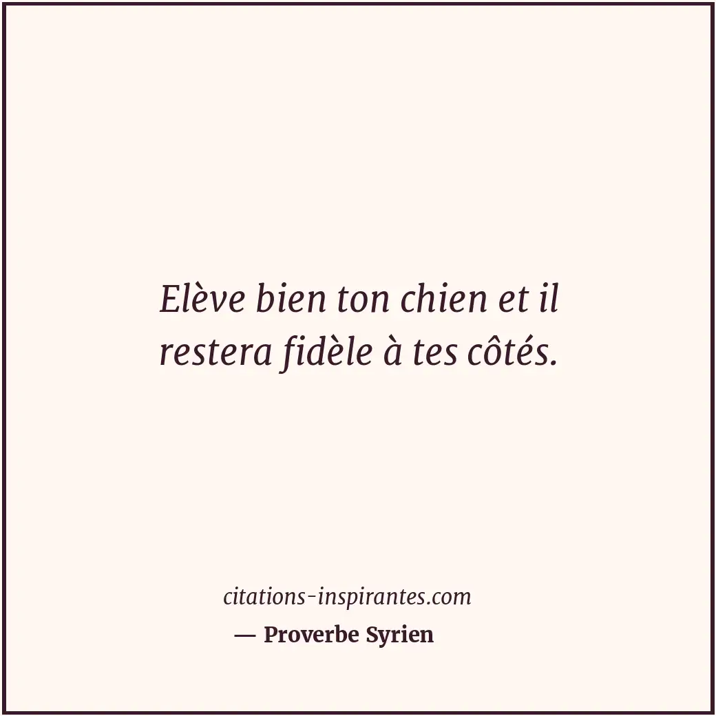 Elève bien ton chien et il restera fidèle à tes côtés. Citation de Proverbe Syrien