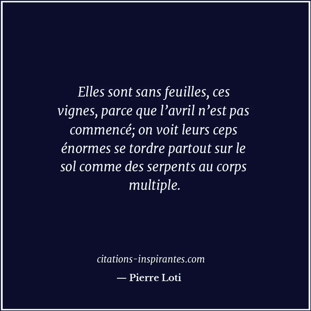Citation de Pierre Loti