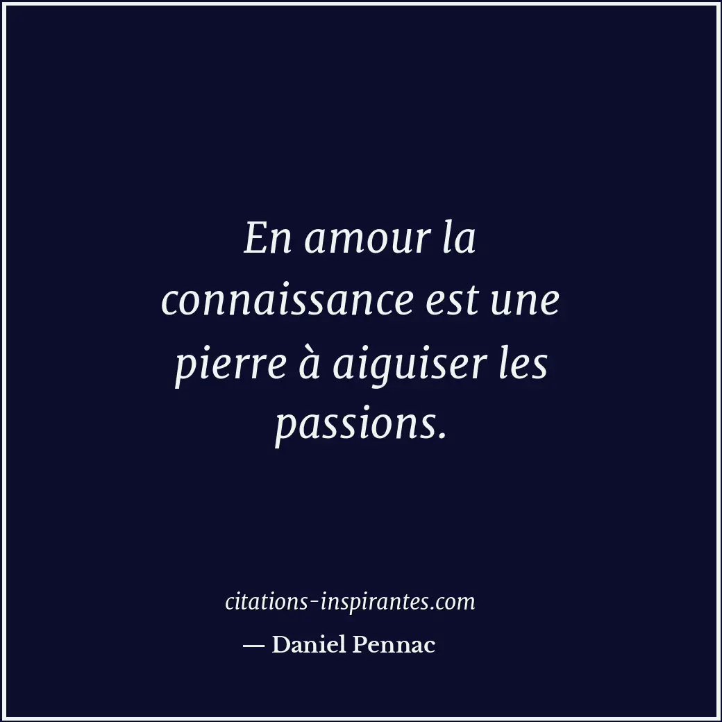 Citation de Daniel Pennac
