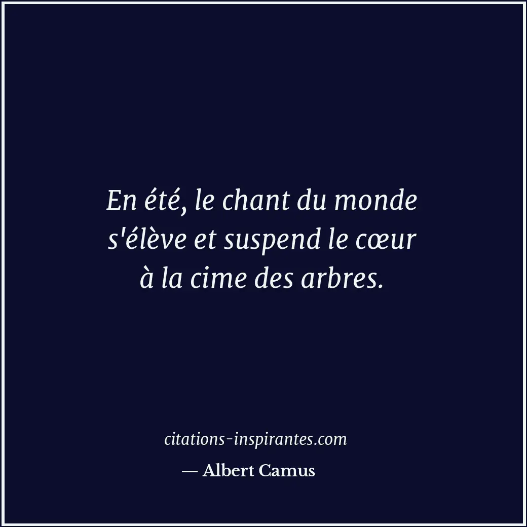 Citation de Albert Camus