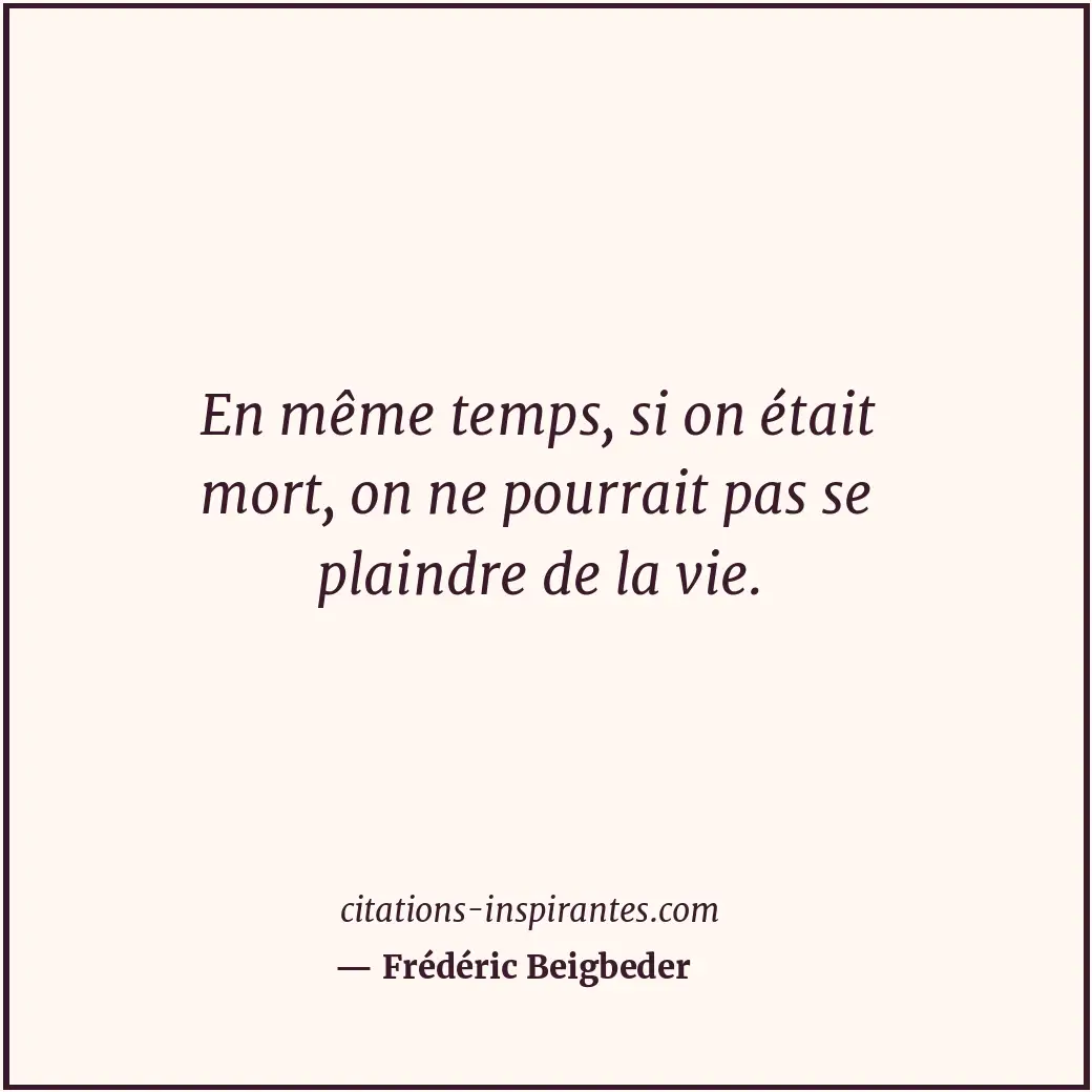 Citation de Frédéric Beigbeder