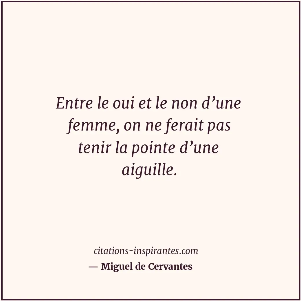 Entre le oui et le non d’une femme, on ne ferait pas tenir la pointe d’une aigui... Citation de Miguel de Cervantes