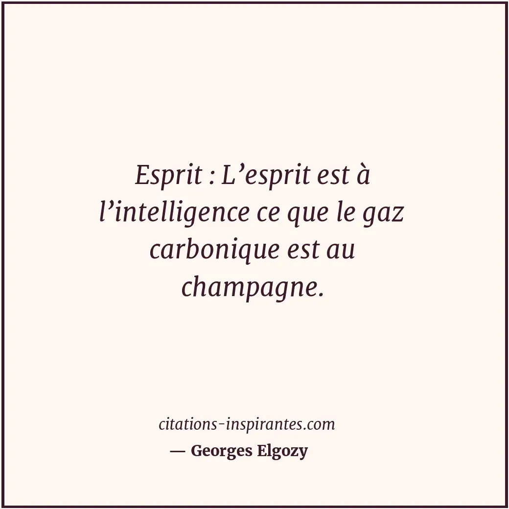 Esprit : L’esprit est à l’intelligence ce que le gaz carbonique est au champagne... Citation de Georges Elgozy