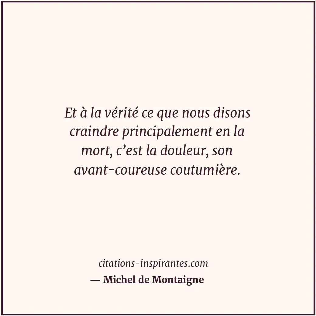 Citation de Michel de Montaigne