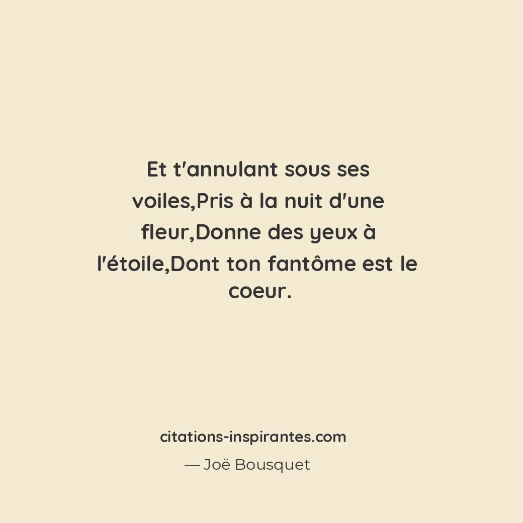 Citation de Joë Bousquet